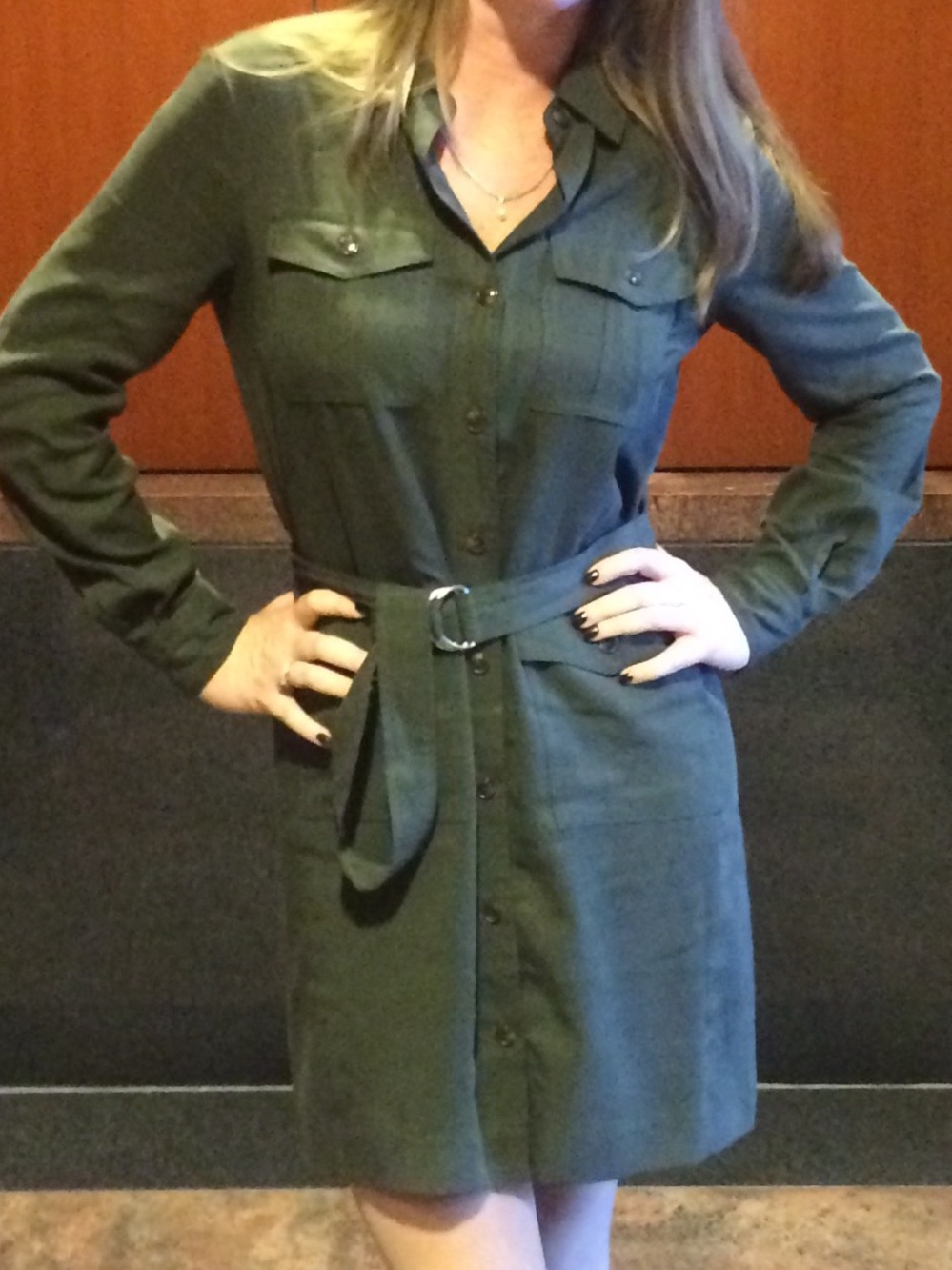 Banana Republic Dark Olive Button-Front Shirt Dress